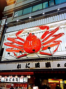 H26.11.11 大阪の夜は更けてゆく
