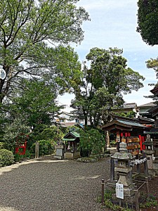 H27.6.10 神社の境内