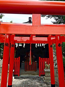 H27.6.10 神社の境内2